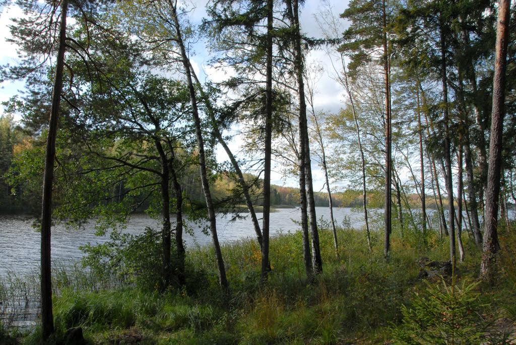 Tündre järve lõkkekoht ja looduskaitseala (Loodusegakoos).