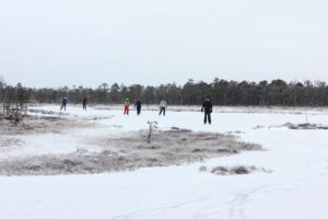 Ice skating on the bog-pools of Rubina Bog in the historical Mulgimaa (Imre Arro | Loodusturism.ee matkakorraldus).