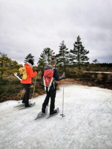 Seikle Vabaks Nordic Ice Skating im Nationalpark Soomaa (Seikle Vabaks matkad).