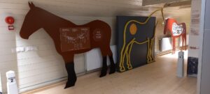 Tori Horse Breeding Farm Museum (SA Eesti Maaelumuuseumid).