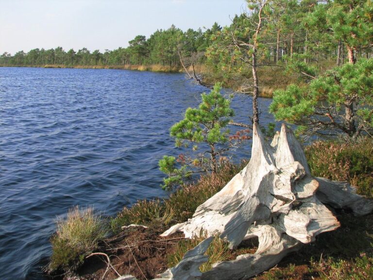 Öördijärvi (Tiina Korts).