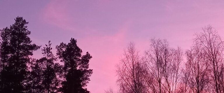 Vanaõue Puhkekeskuse jalgsimatk Sakala teel koos matkajuhiga (Liina Lõoke).