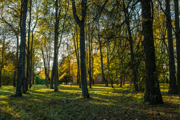 Hummuli mõisapark (Sven Zacek).