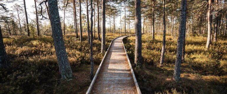 Nationalpark Soomaa (Priidu Saart, Visit Pärnu).