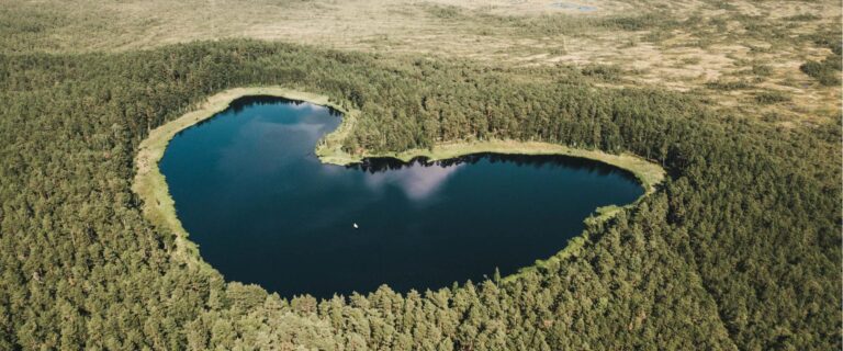 Lehrpfad am kleinen See Parika (Priidu Saart).