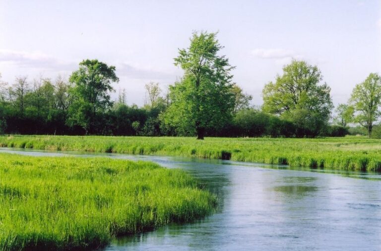 Tõramaa puisniidu rada (Tiina Korts).