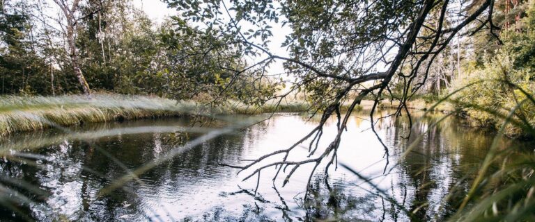Sinialliku pārgājienu taka (Siim Verner Teder).
