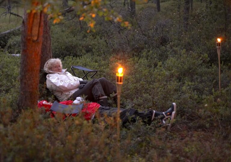 Musiikkifestivaalit (Jaanus Siim).