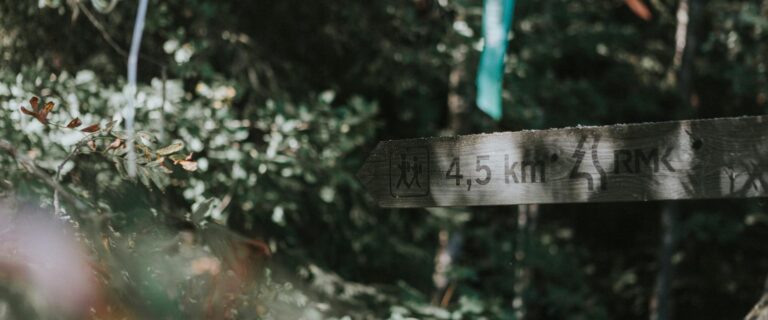 Teringi õpperada (Kris Süld).