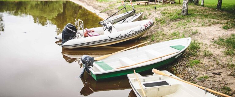 Roheline rendipaat (Ülle Jukk).