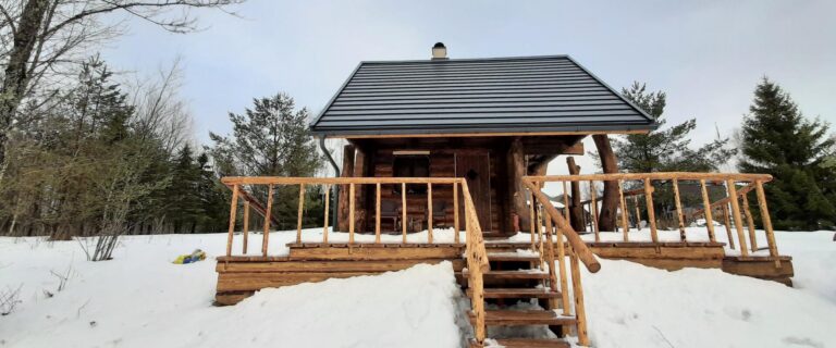 Raistiko sauna building (Maimu Nõmmik).