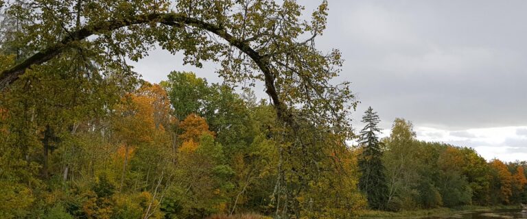 Lahmusen kartano (Viljandi Turismiinfokeskus).