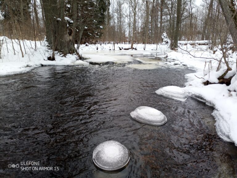 Talvine Õisu mõisapark (Andrei Roosiväli).