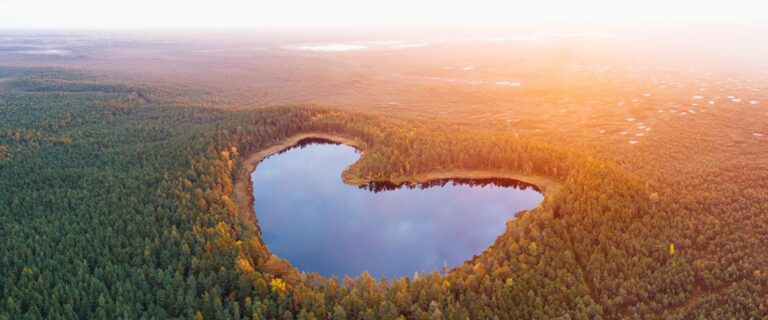 Study trail at Lake Parika Väikejärv (Evolumina, Toolbox.Estonia.ee).