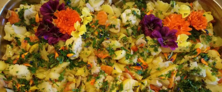 Heilende Geschmäcker vom Energie-Bauernhof (Energia talu).