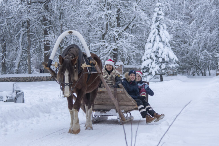 Jõulud Olustvere mõisas saanisõit (Sandra Urvak).